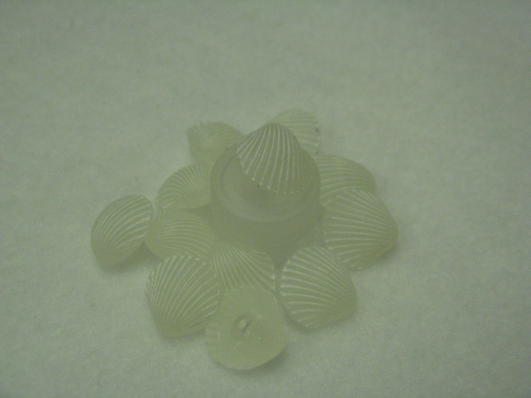 Shell Button - white - just over 1/2" - Click Image to Close